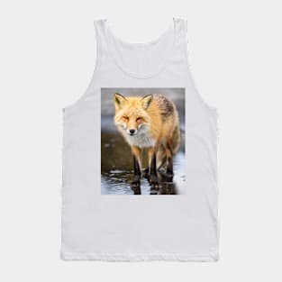 Red Fox Face to Face Tank Top